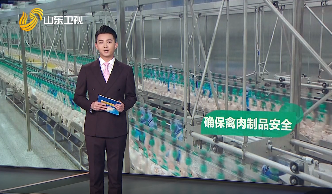 888.BY集团电子游戏(中国)有限公司官网