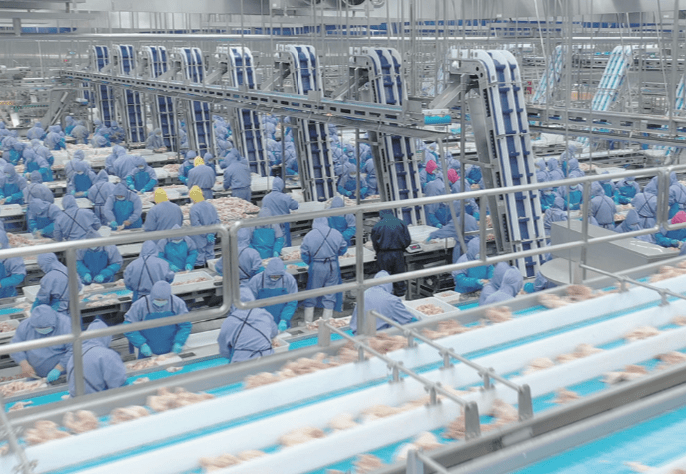 888.BY集团电子游戏(中国)有限公司官网