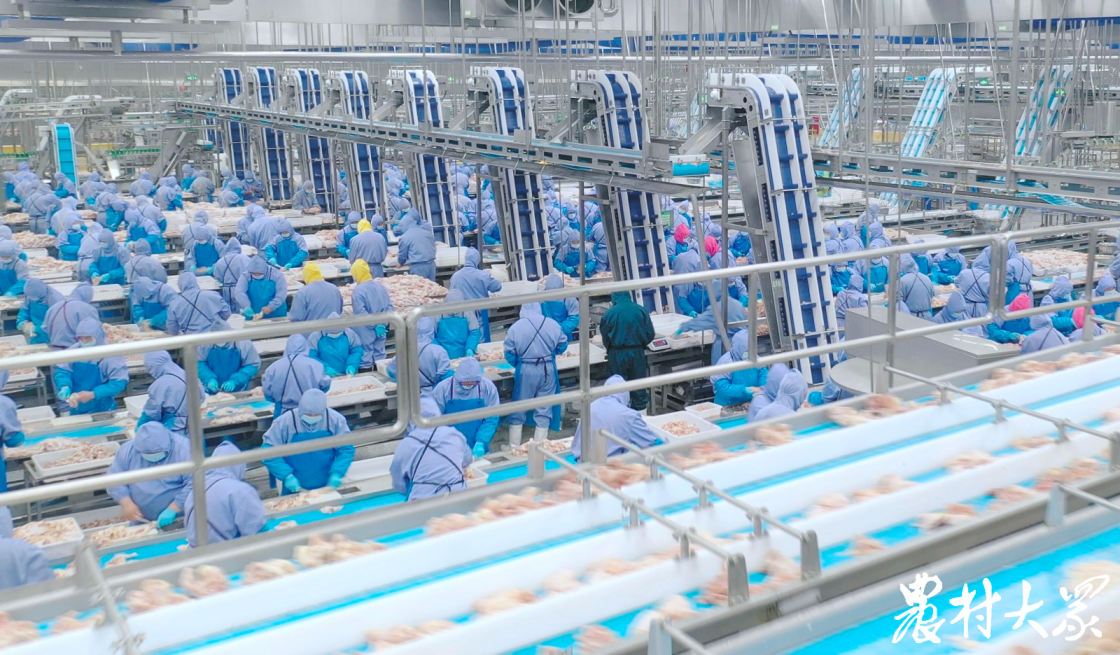 888.BY集团电子游戏(中国)有限公司官网