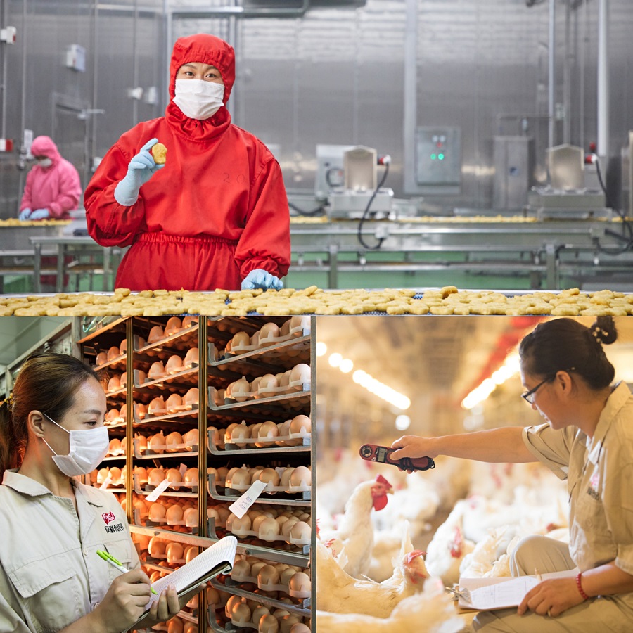 888.BY集团电子游戏(中国)有限公司官网