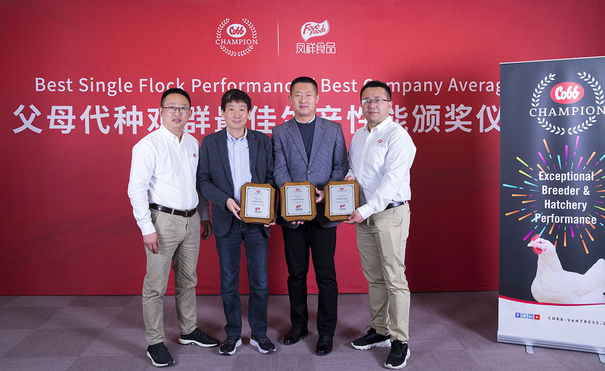 888.BY集团电子游戏(中国)有限公司官网